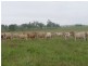 a Kilkivan Tansey Road, Tansey QLD 4601