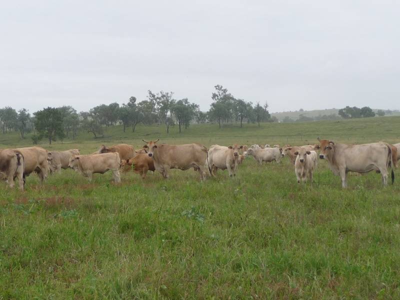 a Kilkivan Tansey Road, Tansey QLD 4601