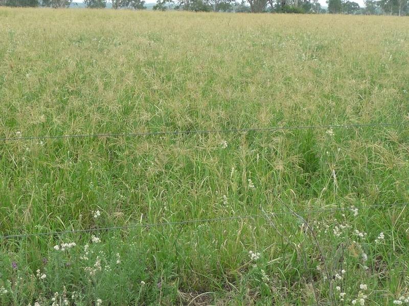 a Kilkivan Tansey Road, Tansey QLD 4601