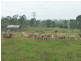 a Kilkivan Tansey Road, Tansey QLD 4601