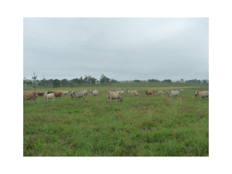 a Kilkivan Tansey Road, Tansey QLD 4601