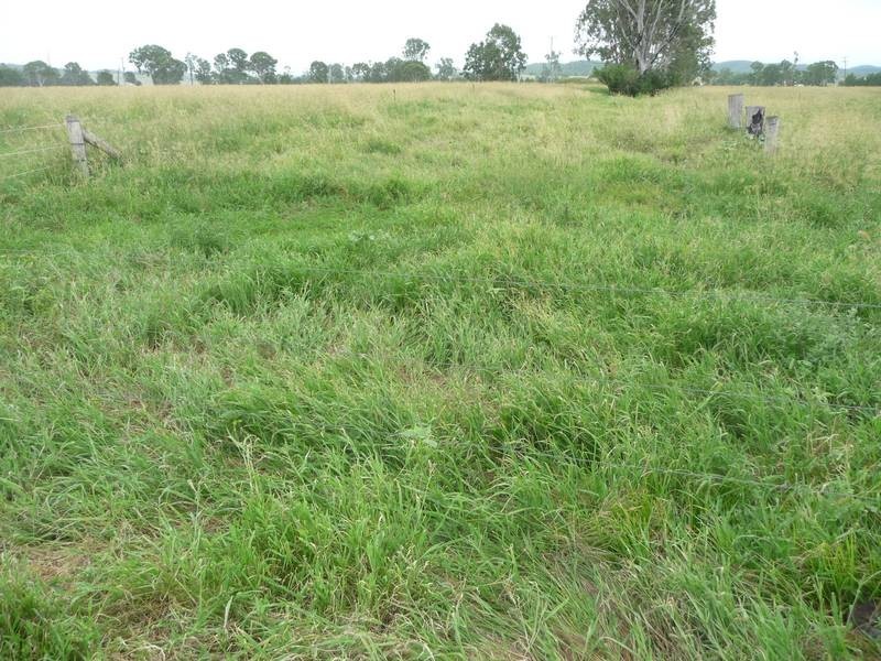 a Kilkivan Tansey Road, Tansey QLD 4601
