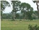 a Kilkivan Tansey Road, Tansey QLD 4601