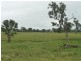 a Kilkivan Tansey Road, Tansey QLD 4601