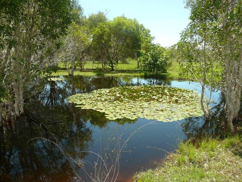 1686 BUXTON ROAD, Buxton QLD 4660