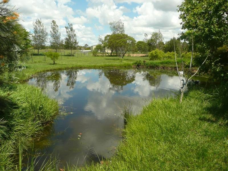 1686 BUXTON ROAD, Buxton QLD 4660