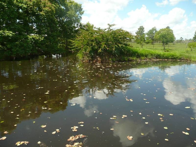 1686 BUXTON ROAD, Buxton QLD 4660