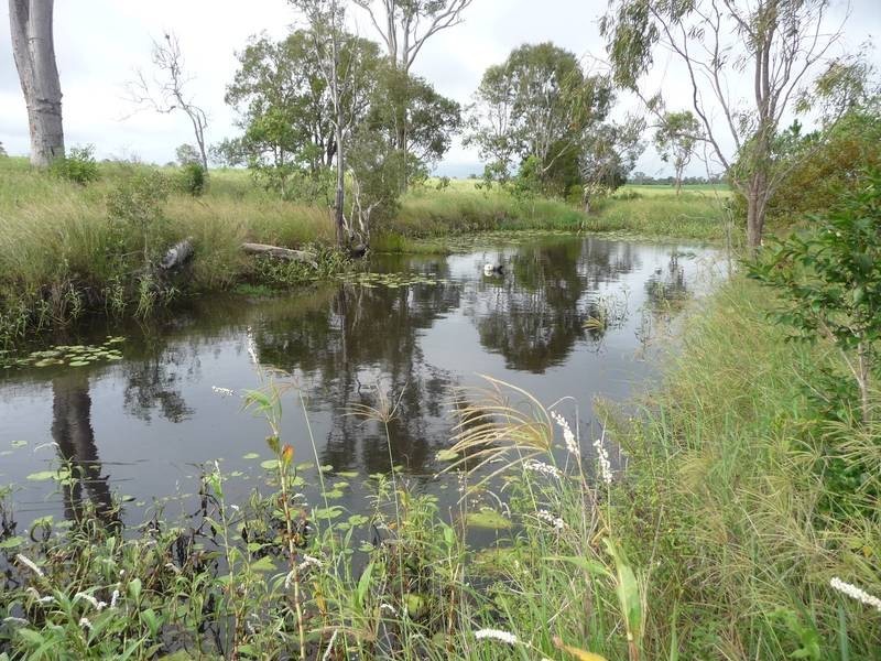 South Kolan QLD 4670