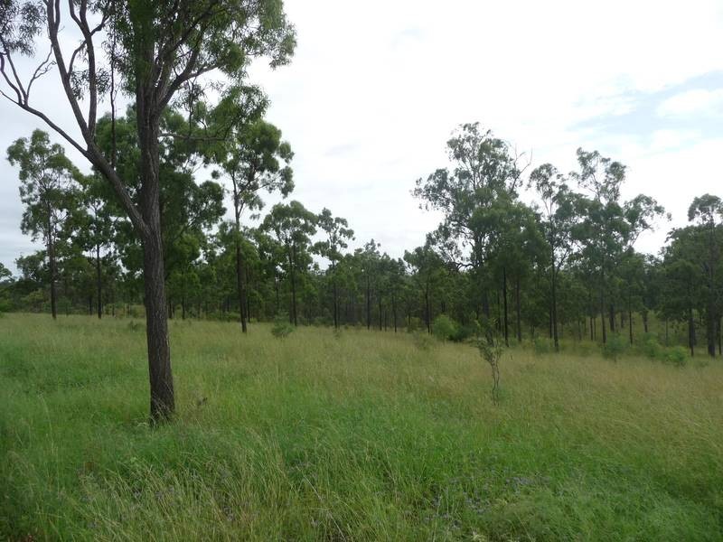 Dallarnil QLD 4621
