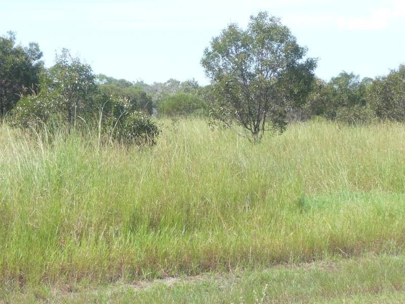 17 MCKENZIES ROAD, NORTH ISIS, Childers QLD 4660