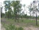 Chappell Hills Road, South Isis QLD 4660