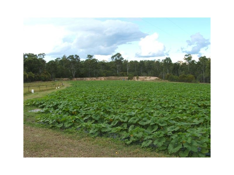 265 BUNNS ROAD, Apple Tree Creek QLD 4660