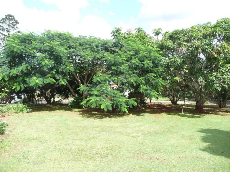 16 Queen Street, Cordalba QLD 4660