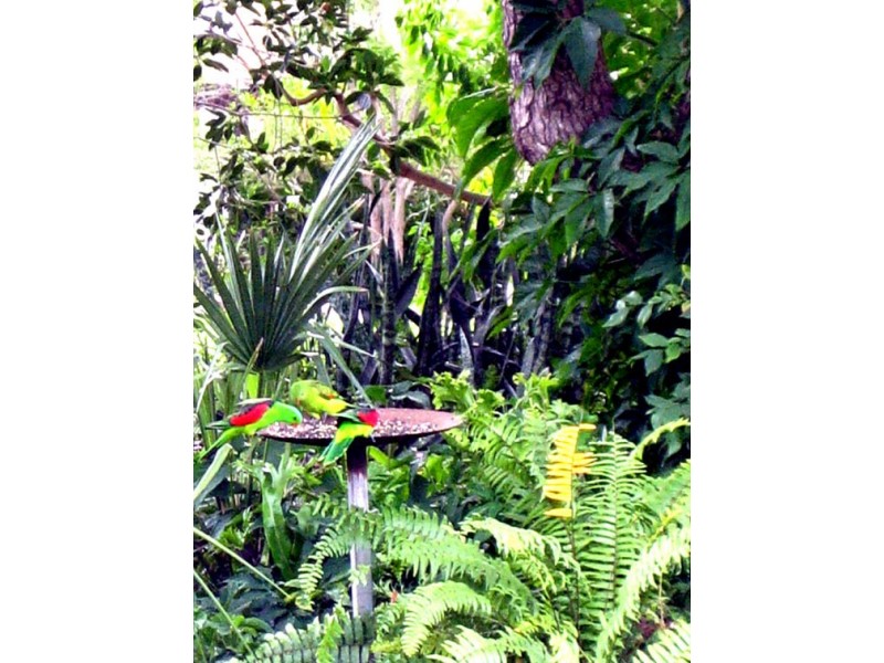 113 Capper Street, Gayndah QLD 4625