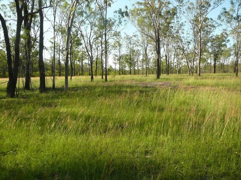 Lot 22,  Svenssons Road, Childers QLD 4660