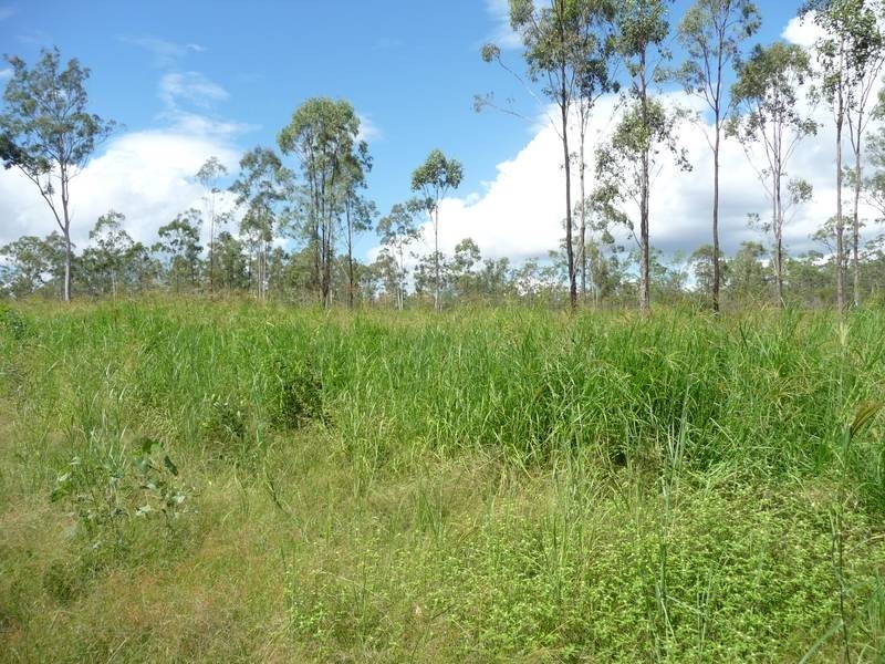 Lot 20,  Rimac Road, Booyal QLD 4671