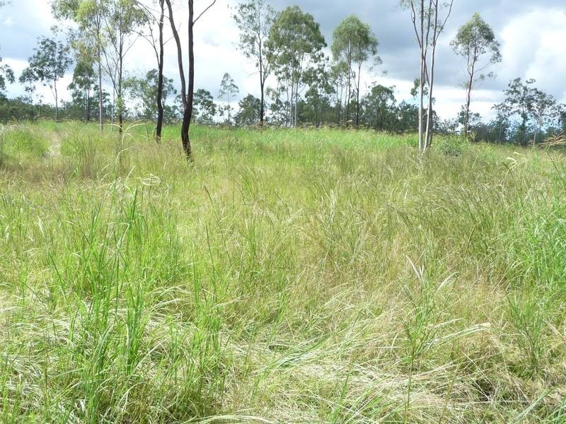 Lot 20,  Rimac Road, Booyal QLD 4671