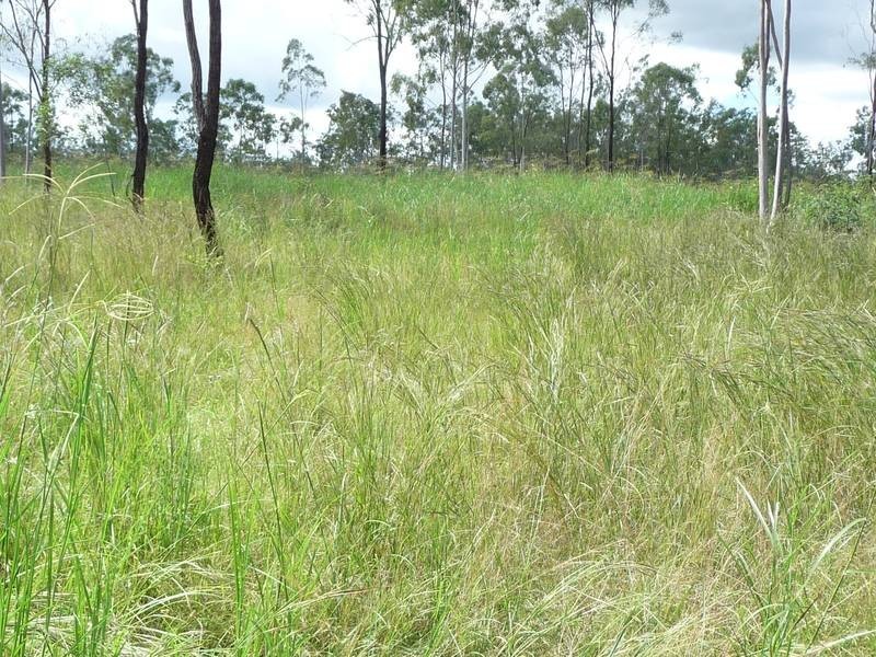 Lot 20,  Rimac Road, Booyal QLD 4671