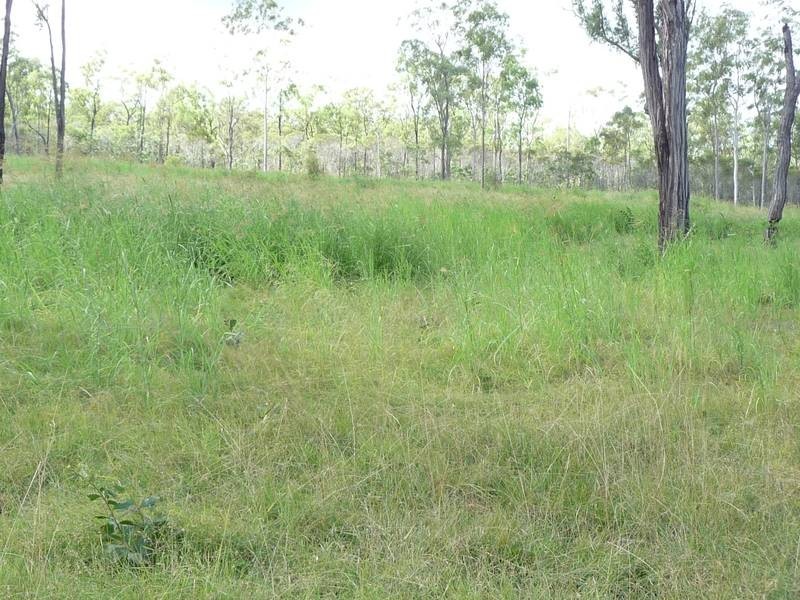 Lot 20,  Rimac Road, Booyal QLD 4671