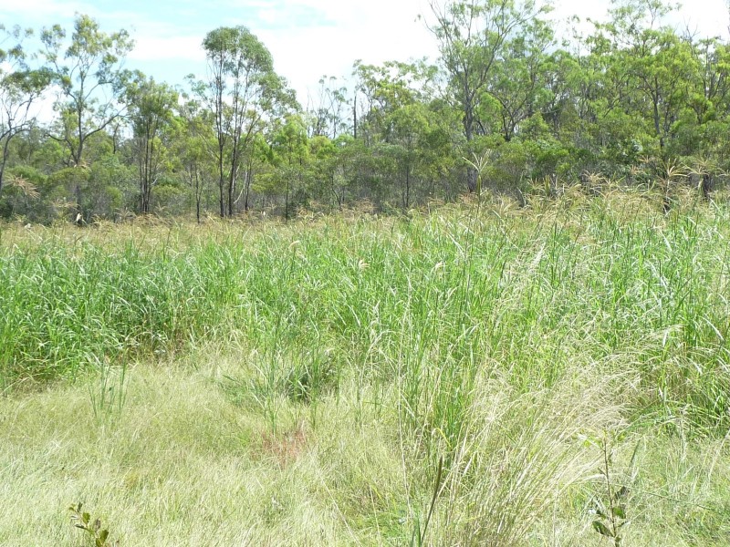 257 Svenssons Road, Booyal QLD 4671