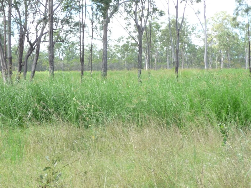 257 Svenssons Road, Booyal QLD 4671