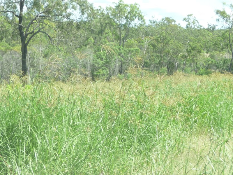 257 Svenssons Road, Booyal QLD 4671