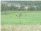 43 MT SHAMROCK ROAD, Coringa QLD 4621