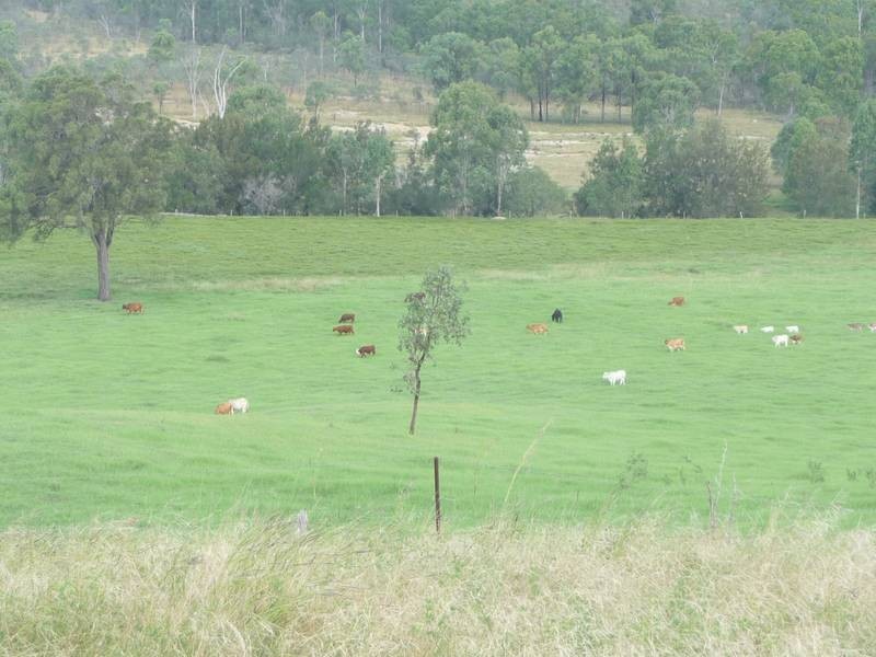 43 MT SHAMROCK ROAD, Coringa QLD 4621