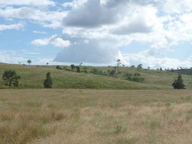 43 MT SHAMROCK ROAD, Coringa QLD 4621