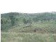 43 MT SHAMROCK ROAD, Coringa QLD 4621
