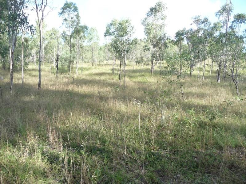 43 MT SHAMROCK ROAD, Coringa QLD 4621
