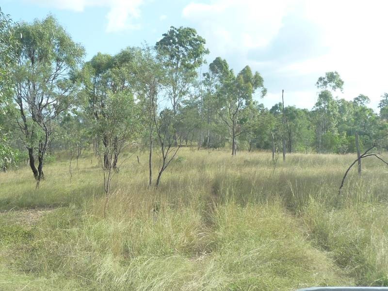 43 MT SHAMROCK ROAD, Coringa QLD 4621