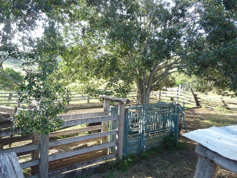 43 MT SHAMROCK ROAD, Coringa QLD 4621