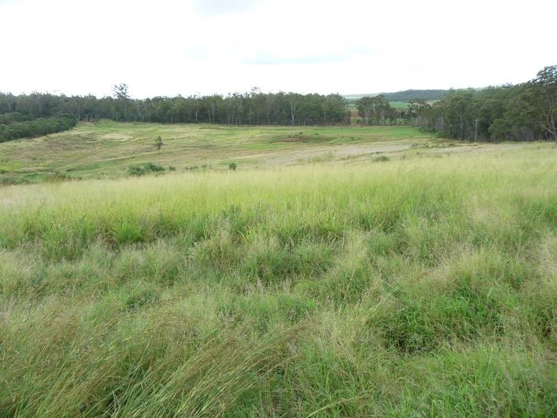 188 ABINGTON ROAD, ABINGTON, Childers QLD 4660