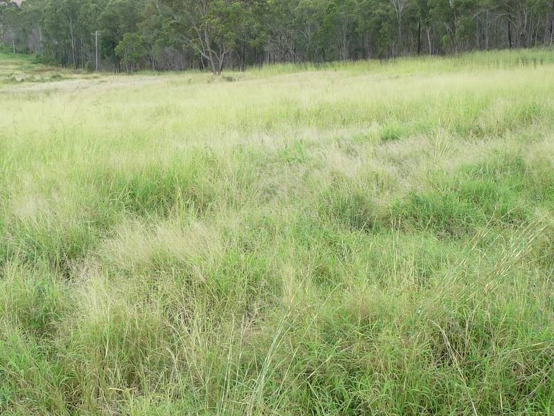 188 ABINGTON ROAD, ABINGTON, Childers QLD 4660