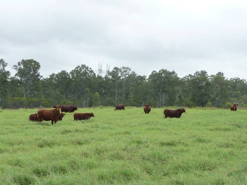 7575 Isis Highway, Dallarnil QLD 4621