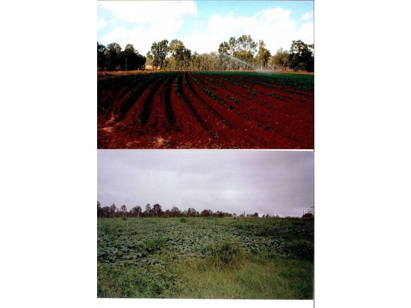 7575 Isis Highway, Dallarnil QLD 4621