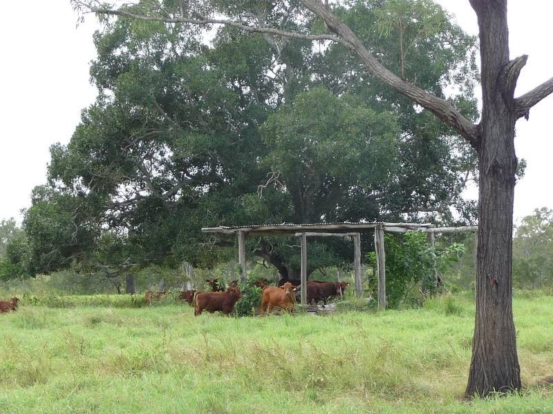 7575 Isis Highway, Dallarnil QLD 4621