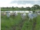 8691 ISIS HIGHWAY, Dallarnil QLD 4621