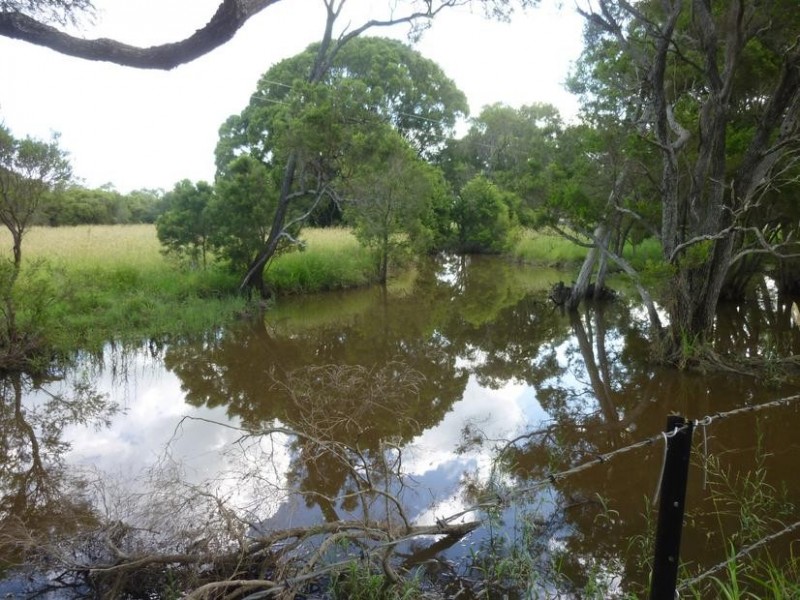 8691 ISIS HIGHWAY, Dallarnil QLD 4621