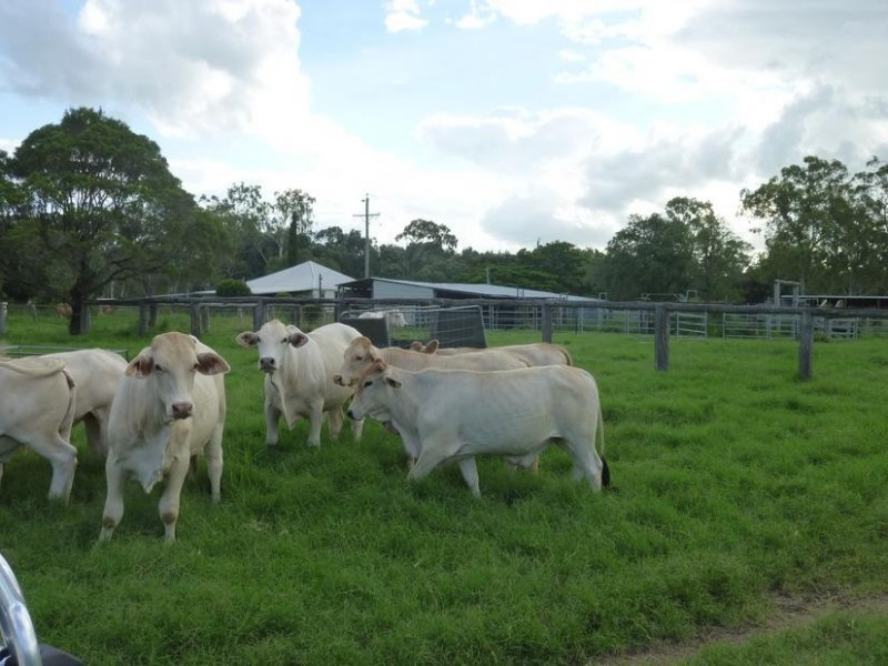 8691 ISIS HIGHWAY, Dallarnil QLD 4621