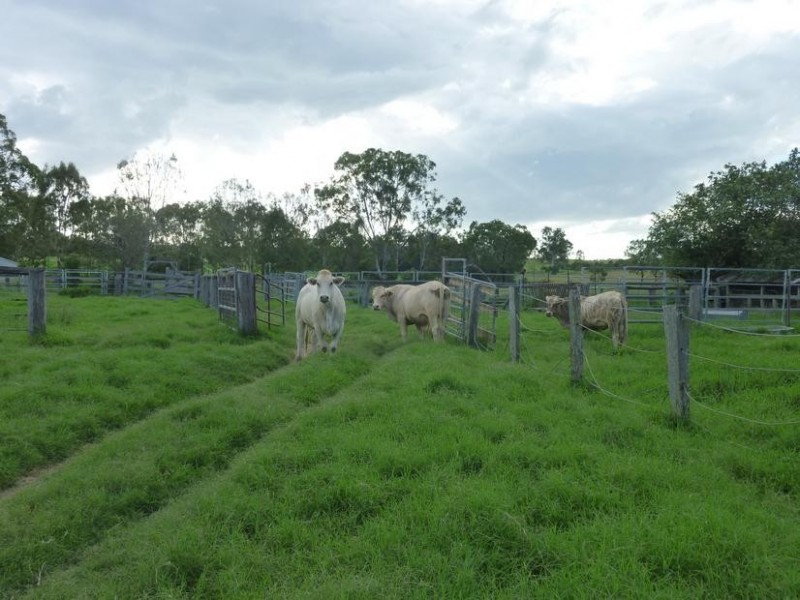 8691 ISIS HIGHWAY, Dallarnil QLD 4621