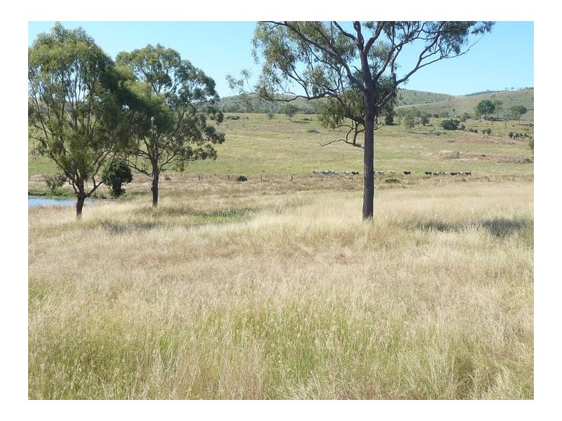 8691 ISIS HIGHWAY, Dallarnil QLD 4621