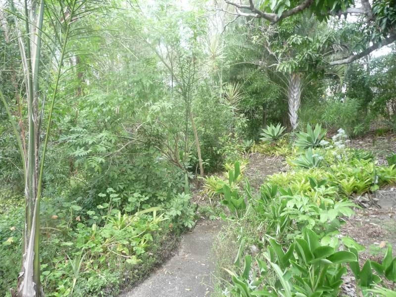 22 Mill Street, APPLE TREE CREEK, Childers QLD 4660