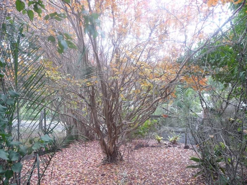 22 Mill Street, APPLE TREE CREEK, Childers QLD 4660