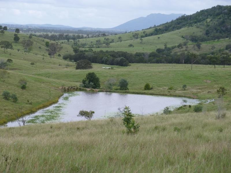 NULLA CREEK, B9, SHAMROCK ROADS, Coringa QLD 4621
