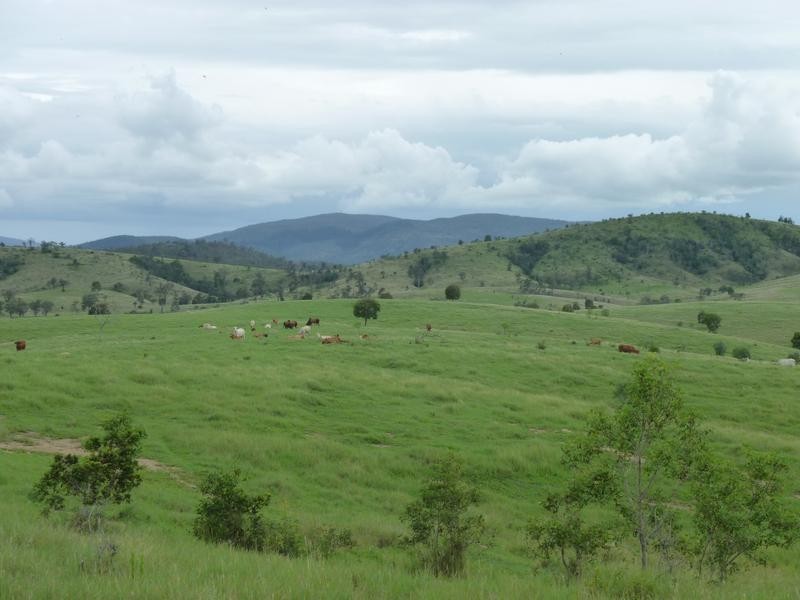 NULLA CREEK, B9, SHAMROCK ROADS, Coringa QLD 4621