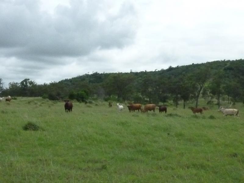 NULLA CREEK, B9, SHAMROCK ROADS, Coringa QLD 4621