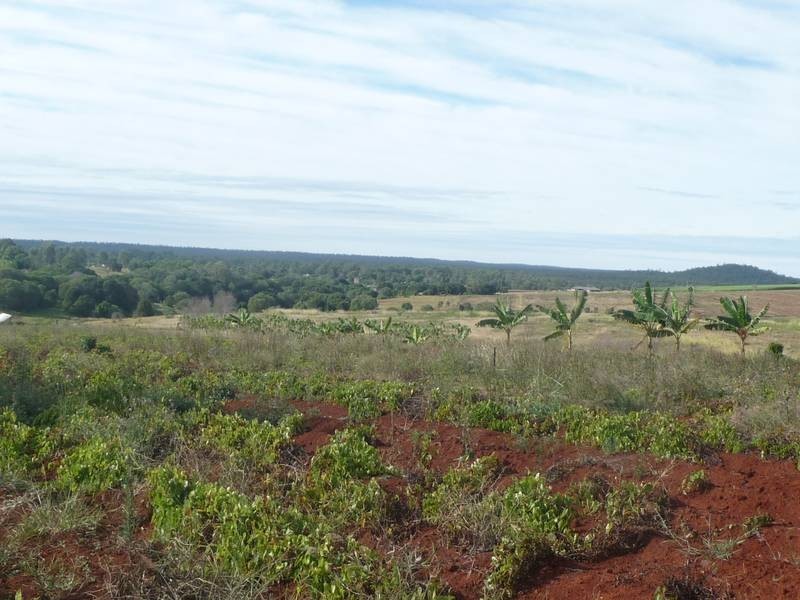 Lot A,  South Isis Road, South Isis, South Isis QLD 4660