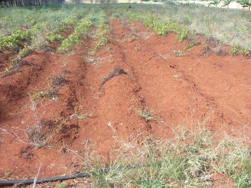 Lot A,  South Isis Road, South Isis, South Isis QLD 4660
